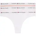 Tommy Hilfiger Mesh Tanga 3 Enheder