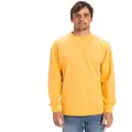 Quiksilver Salt Water Sweatshirt