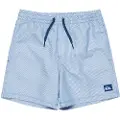 Quiksilver Everyday Deluxe Volley 14 Badeshorts