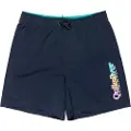 Quiksilver Spl Fineline Volley 14 Badeshorts