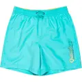 Quiksilver Spl Fineline Volley 14 Badeshorts