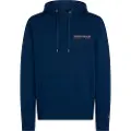 Tommy Hilfiger Color Photo Hættetrøje