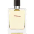 Hermès Paris Terre Pour Homme 100ml Eau De Toilette