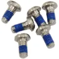 Sram Rotor Bolt Krankarm Skruesæt 6 Enheder