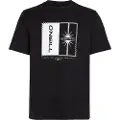 O'Neill Mix & Match Palm T-shirt sort