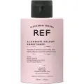 Ref Illuminate Colour Conditioner