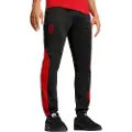 Puma AC Milan ftblNRGY+ Pants Men, Clothing, Black/Red, XL
