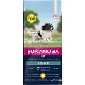Eukanuba Adult Medium kylling hundefoder