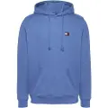 Tommy Hilfiger Badge Regular Fit Hættetrøje