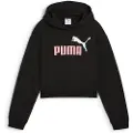 Puma Ess 2 Color Nº1 Logo Hættetrøje