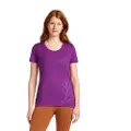 Icebreaker Merino 150 Tech Lite Scoop Panax T-shirt Med Korte ærmer
