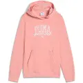 Puma Sweatshirts Puma PUMA CLASS TEE barn 15 / 16 Jahre