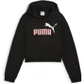 Puma Ess 2 Color Nº1 Logo Hættetrøje