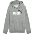 Puma Ess 2 Color Nº 1 Logo Hættetrøje