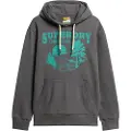 Superdry Superdrytil mænd. M2013699A Lo-Fi Outdoor Graphic Sweatshirt grå (S), Casual, Økologisk bomuld, Bæredygtig