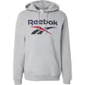 Reebok Identity Big Logo Hættetrøje
