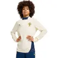 Puma Portugal Quarter-Zip Training Top Youth, Clothing, Sugared Almond/Persian Blue, 7-8Y