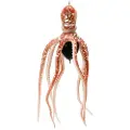 Mustad Inkvader Octopus Blødt Agn 150g