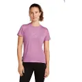 Icebreaker Merino Core Camping Circle T-shirt Med Korte ærmer