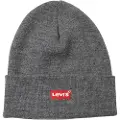 Levi's Batwing Slouchy Embroidered Beanie