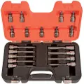 Bahco Sæt Med 1/2´´ Toppe Med Torx-bits 18 Enheder