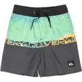 Quiksilver Everyday Straight Vly 12 Badeshorts