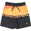 Quiksilver Everyday Straight Vly 12 Badeshorts