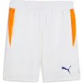 Puma INDIVIDUAL Padel Training Shorts Men, Clothing, White/Vivid Blue/Heat Fire, XS