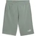 Puma Shorts Puma ESS 2 COLOR LOGO SHORT herre US XL