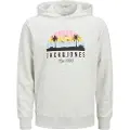 Jack & Jones Palm Hættetrøje