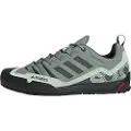 Adidas Terrex Swift Solo 2.0 Tilgangssko