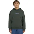 Element Skateboard Co Hættetrøje