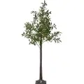 Star Trading - Dekorationstræ Olivec 180cm - Grøn - Dekorationsbelysning - - Homeroom