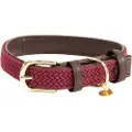 Kentucky Nylon Plaited Hundehalsbånd