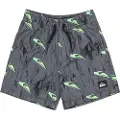 Quiksilver Next Gen Volley 12 Badeshorts