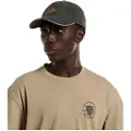 Dickies Dad Denim Kasket