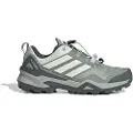 Adidas Terrex Skychaser Vandresko