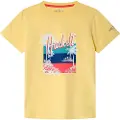 Hackett Palm Stripe T-shirt Med Korte ærmer