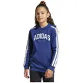 Adidas Codes Collegiate Graphic Hættetrøje