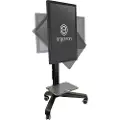 Ergotron Neo-flex Mobile Mediacenter Uhd