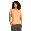 Icebreaker Merino Core T-shirt Med Korte ærmer