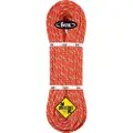 BEAL Tiger Golden Dry 10 Mm Reb