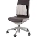 Fellowes Ergonomisk Ryglæn