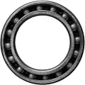 Ceramicspeed 61802 Single Lejer