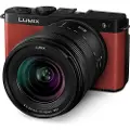 Panasonic Lumix Dc-s9 + Kompaktkamera 20-60 Mm