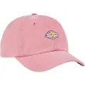 Dickies Hardwick Duck Canvas Kasket