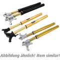 Öhlins Fgrt200 Ducati Panigale 1199 2012-2014 Forgaffel