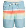 Quiksilver Surfsilk Air-brush Volley 17´´nb Badeshorts