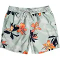 Billabong Vacay Badeshorts