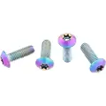 Wolf Tooth Titanium Low Profile Flaskeholder Skruer 4 Enheder